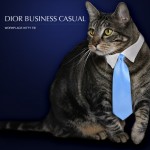 Tabs for the Dior Business Casual Kitty Tie