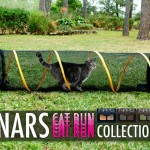 Tabs for the NARS Cat Run Collection