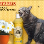 Tabs for Burts Bees Kitty Cat Shampoo