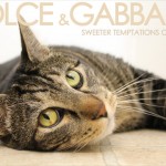 Tabs for Dolce and Gabbana Sweeter Temptations