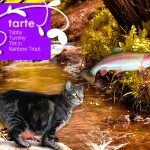 Tabs for Tarte Tabby Tummy Tint in Rainbow Trout