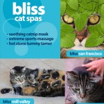 Tabs for Bliss Cat Spas