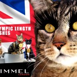 Tabs for Rimmel Olympic Length Lashes