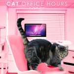 Tabs for the MAC Cat Office Hours Collection