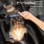 Tabs for the MAC Feline Fur Brush