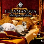 Tabs for Illamasqua Cat Philanderer