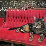 Tabs for Dolce & Gabbana Cat Watches