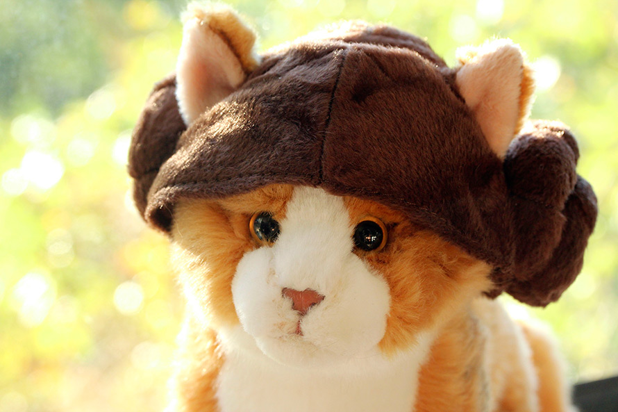 Petco Star Wars Princess Leia Cat Headpiece