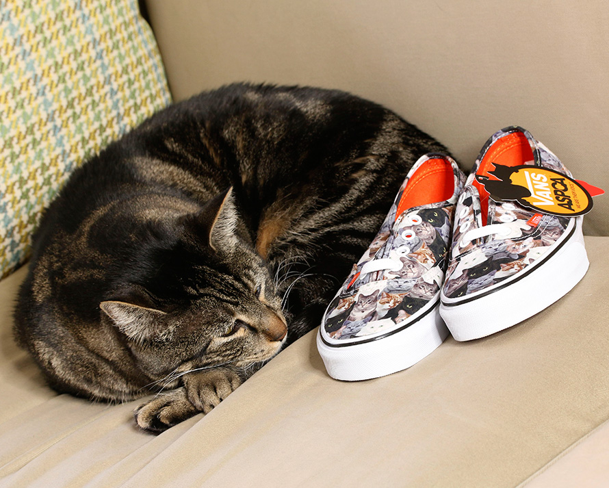 Cat-Themed Footwear 