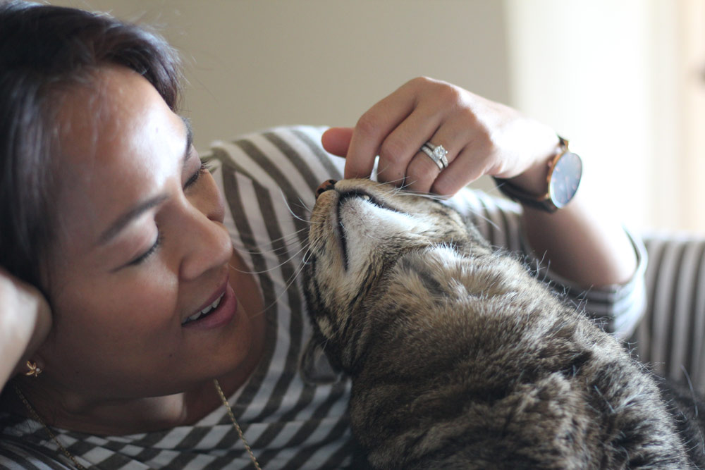 Sundays With Tabs the Cat, Makeup and Beauty Blog Mascot, Vol. 449 - Makeup  and Beauty Blog