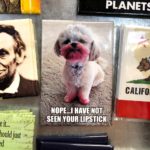 dog lipstick