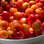rainier cherries