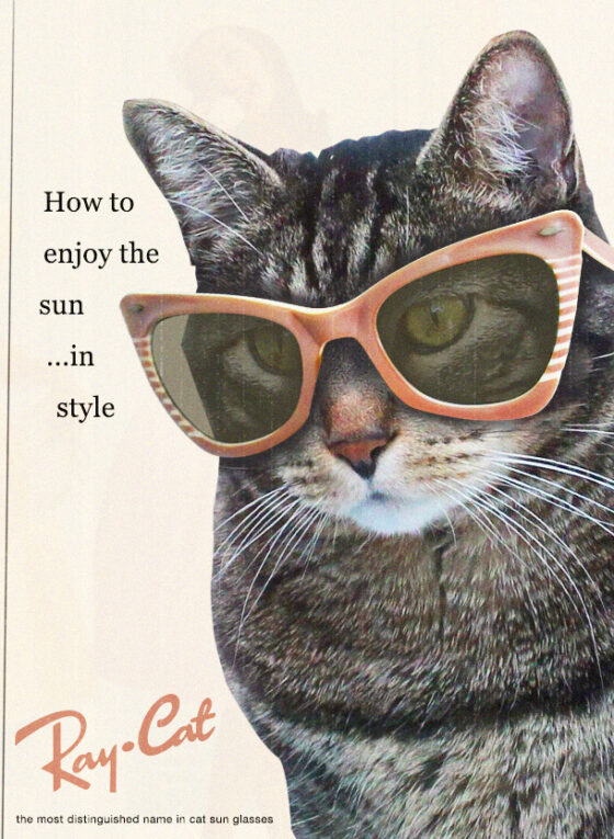 Sundays With Tabs the Cat, Makeup and Beauty Blog Mascot, Vol. 670