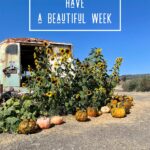 have a beautiful week fall pumpkins sunflowers bus