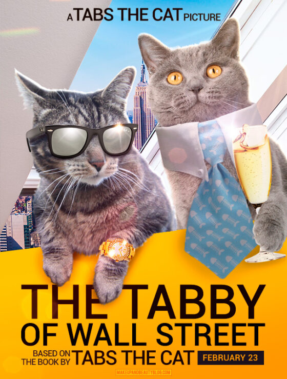 Sundays With Tabs the Cat, Makeup and Beauty Blog Mascot, Vol. 693