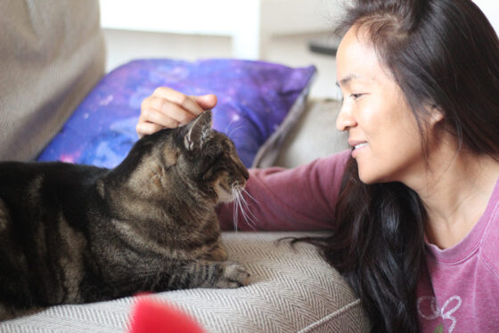 Sundays With Tabs the Cat, Makeup and Beauty Blog Mascot, Vol. 698