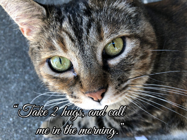 Sundays With Tabs the Cat, Makeup and Beauty Blog Mascot, Vol. 737