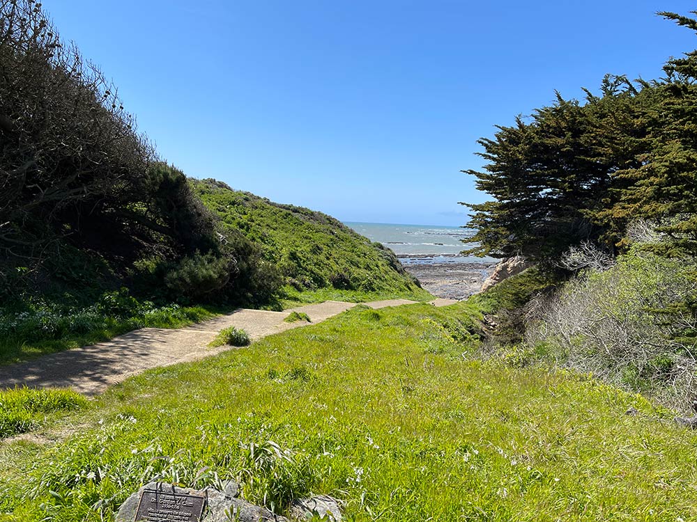 Exploring the Tide Pools at Duxbury Reef in Bolinas - Jarastyle